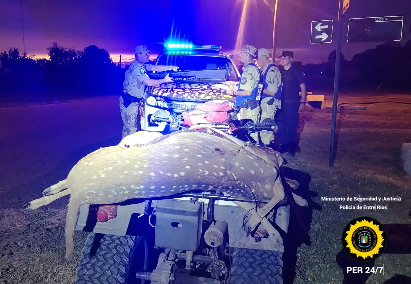 Cazó tres ciervos de forma ilegal y le secuestraron un fusil de grueso calibre