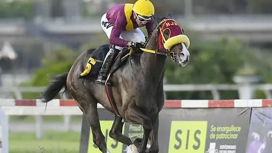 Doblete de jerarquía en Palermo, con un clásico que parece un gran premio