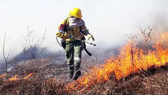 Acusados de incendios en el Delta deberán ir a juicio