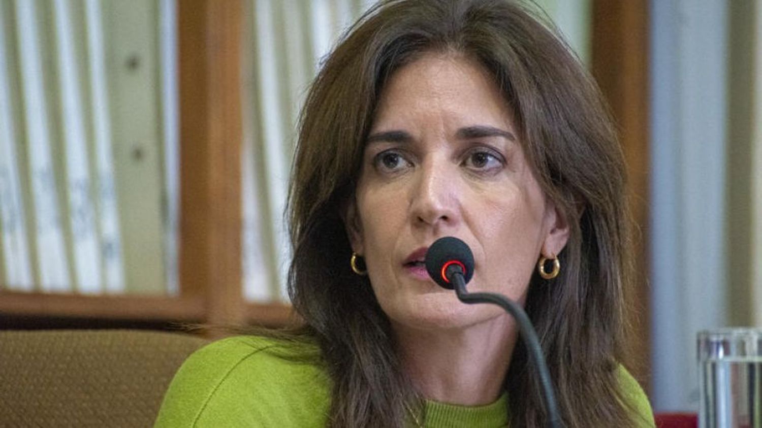 Pilar Álvarez, concejal de Azul. Foto: Diario El Tiempo