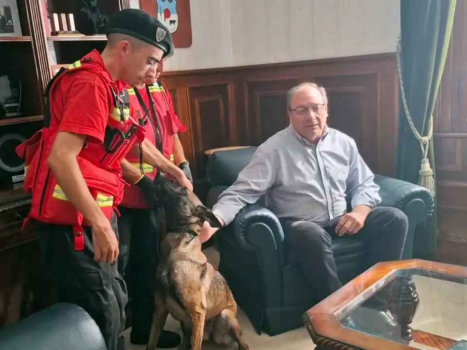 Dakota, la perra K9, clave en el hallazgo de un cuerpo en Bolívar