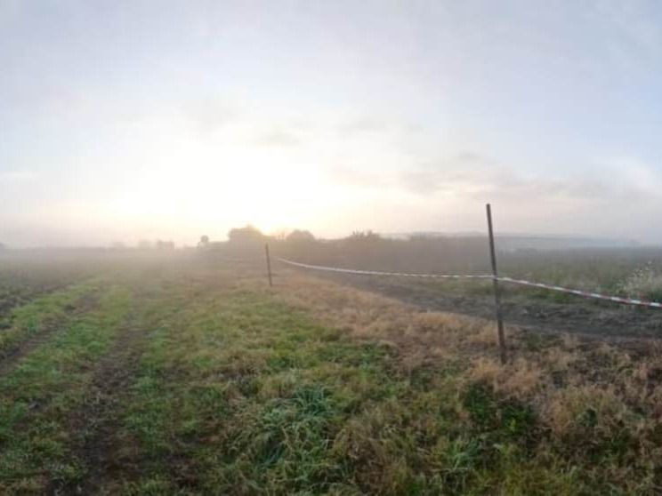 El campo donde fue descubierto el cadáver