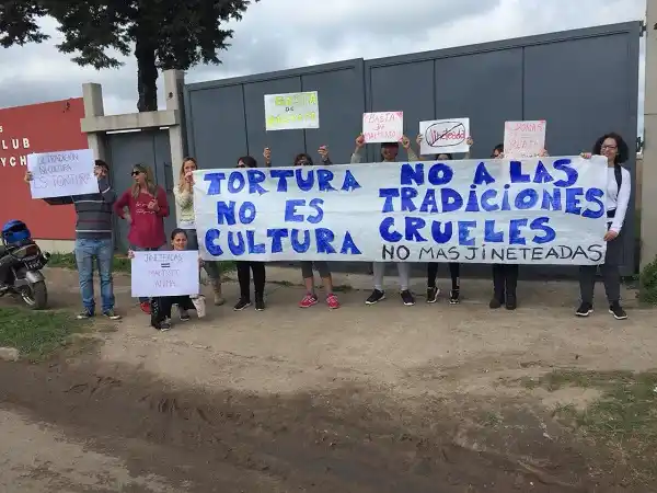 Polémica por la vuelta de las jineteadas a la ciudad: ¿están prohibidas o no?