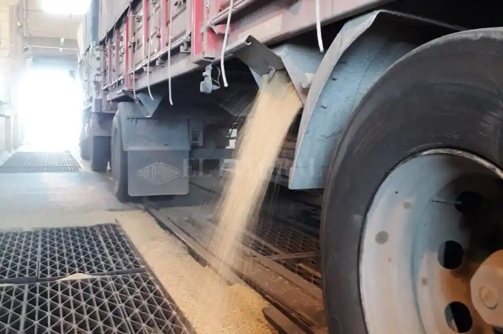 El puerto de Santa Fe también empieza a recibir la cosecha de soja