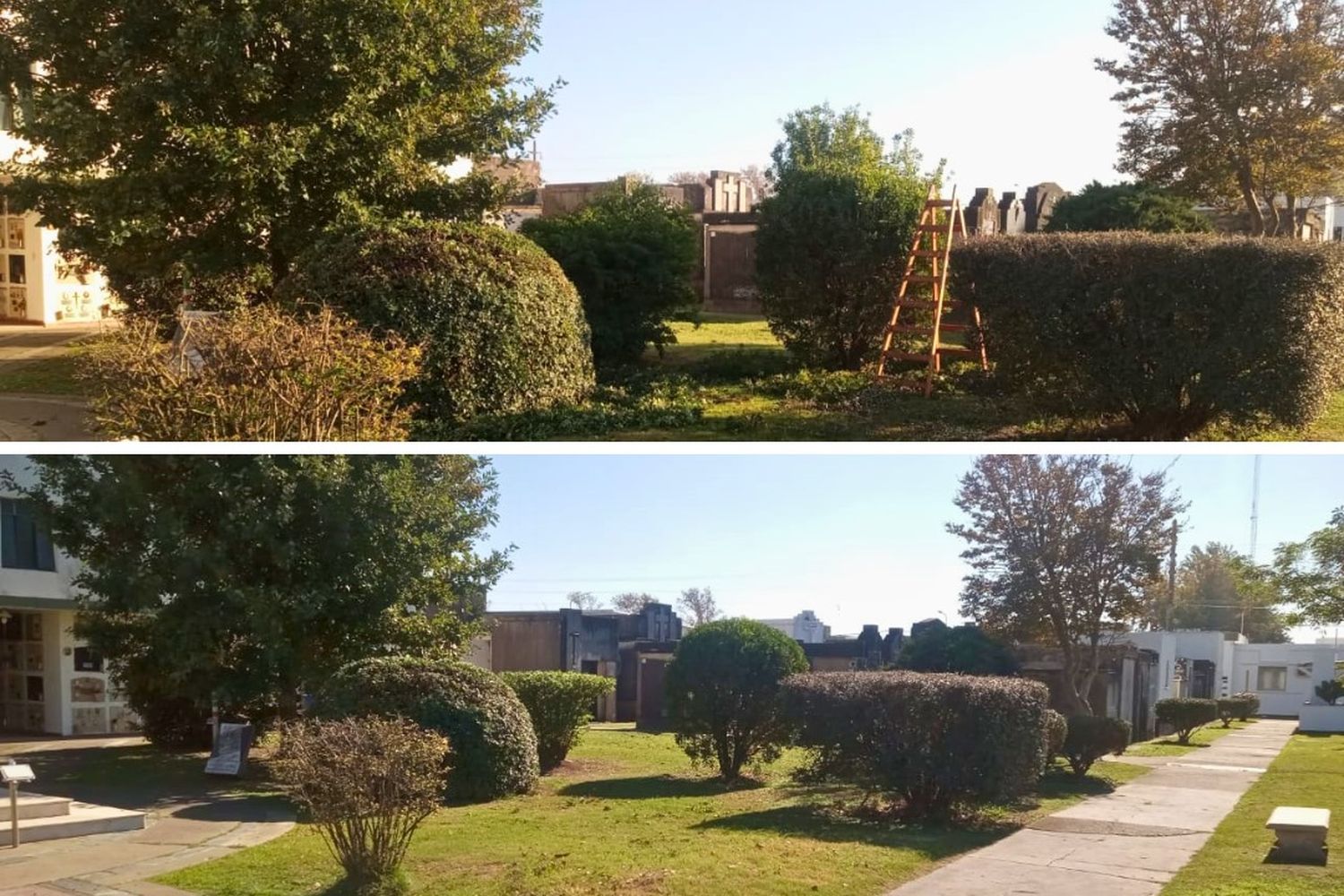 Realizan trabajos de jardinería en el cementerio municipal