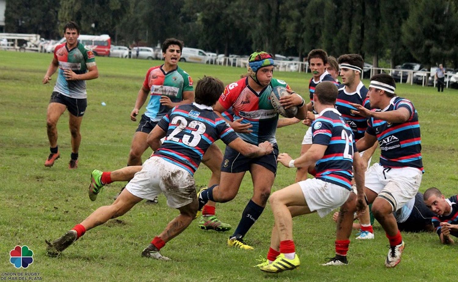 Rugby: los seleccionados marplatenses, con entrenadores confirmados