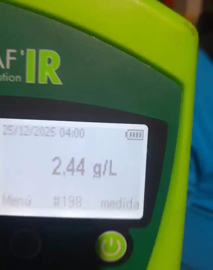 Alcoholemia positiva