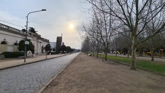 Hay un proyecto para trasladar los 24 criaderos con 1500 cerdos a las afueras de Vela