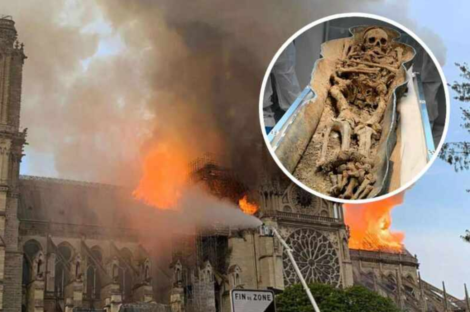 Estos hallazgos arrojan luz sobre la historia y la vida de aquellos que descansaban bajo las ruinas de la Catedral de Notre Dame.