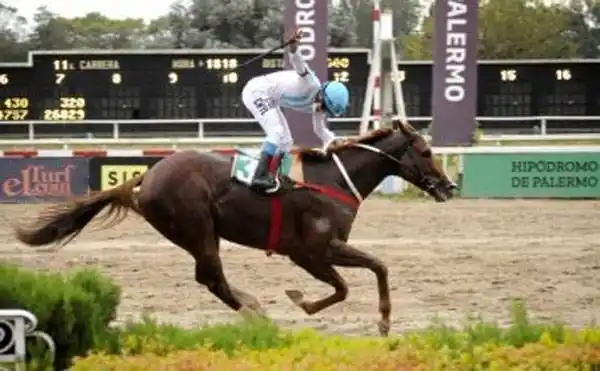 Lunes 5: Actividad Hipódromo de Palermo