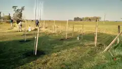 Con diferentes actividades, celebrarán la Semana del Árbol 2024
