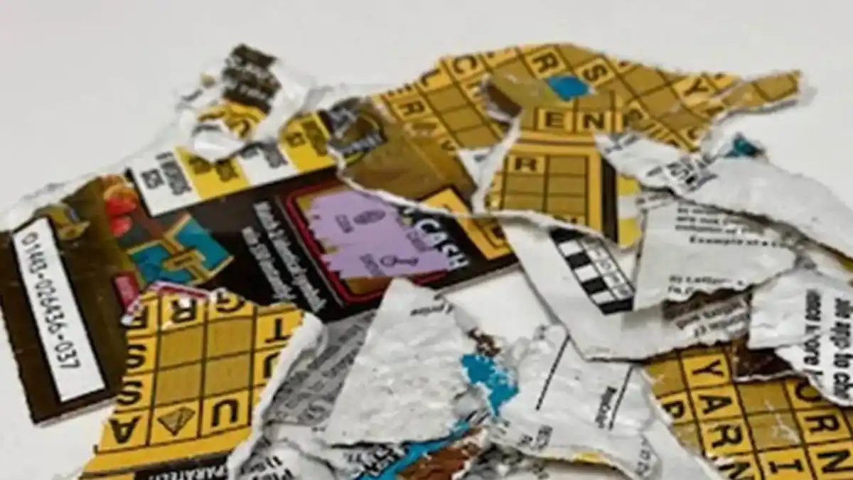 ¡TRAVESURAS DE MASCOTAS! Compraron la lotería y los perros se comieron el billete