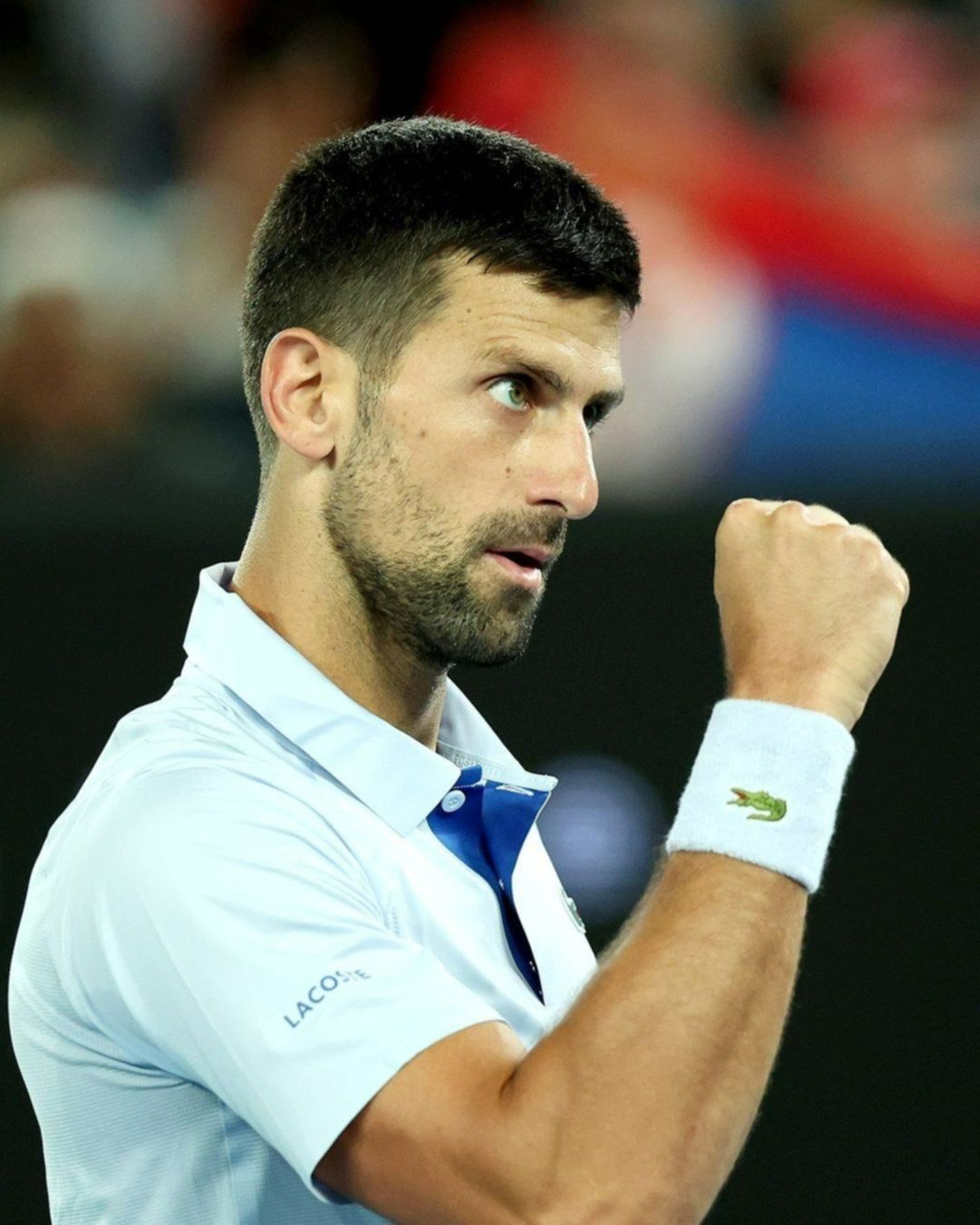 Novak Djokovic: así fue el momento de furia del serbio ante un fanático