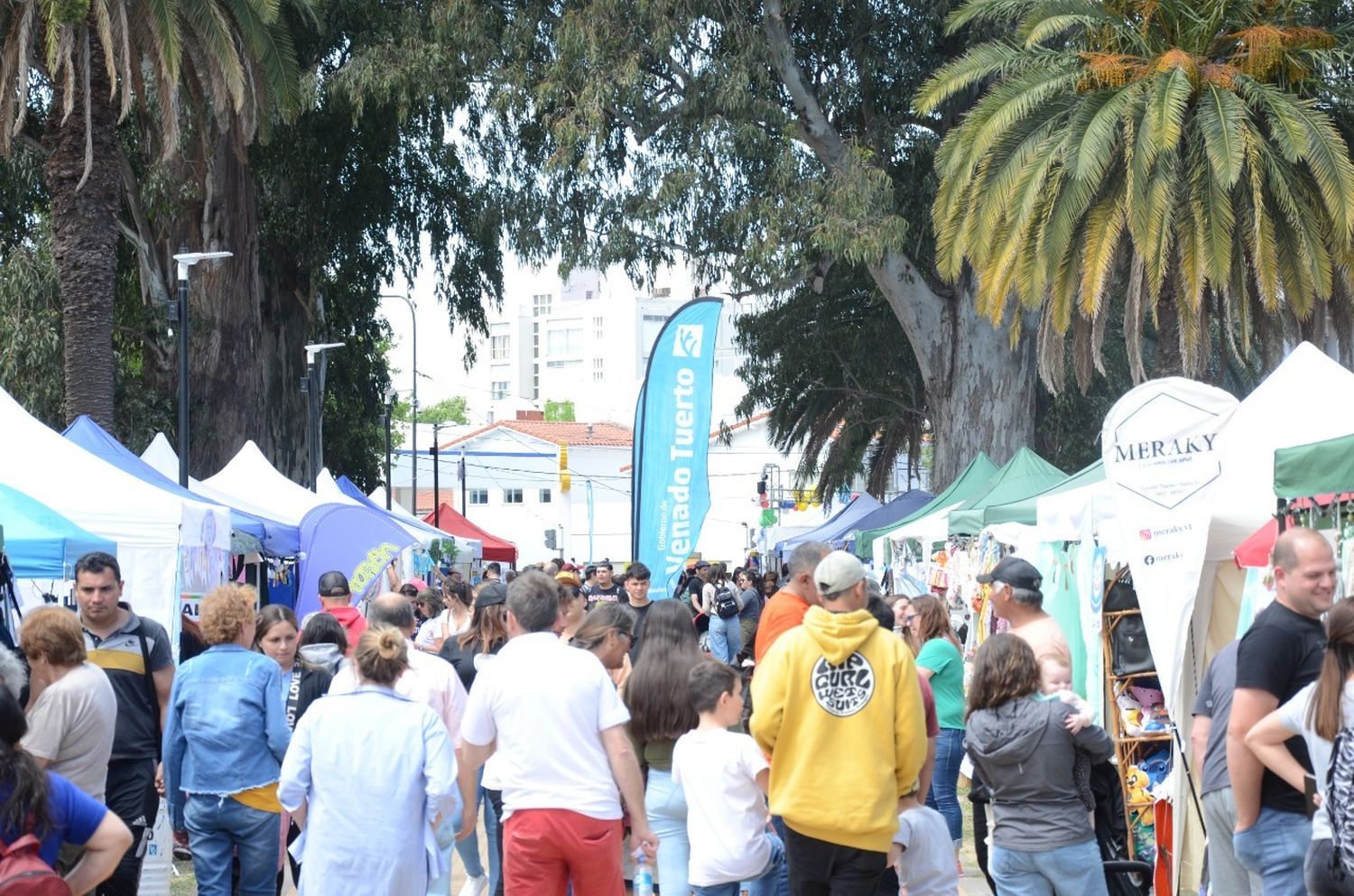 Miles de venadenses disfrutaron del “Paseo de las Colectividades”