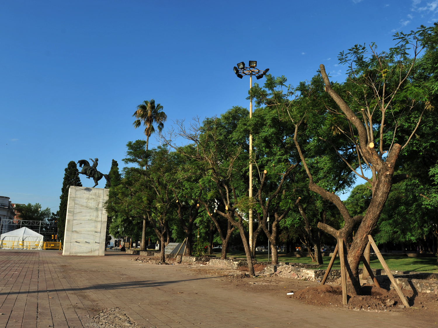 El municipio promete plantar mil árboles en 2018  