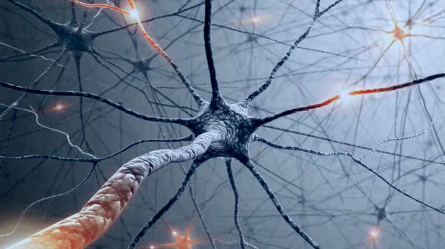 Somos capaces de crear nuevas neuronas a cualquier edad con un sencillo ejercicio