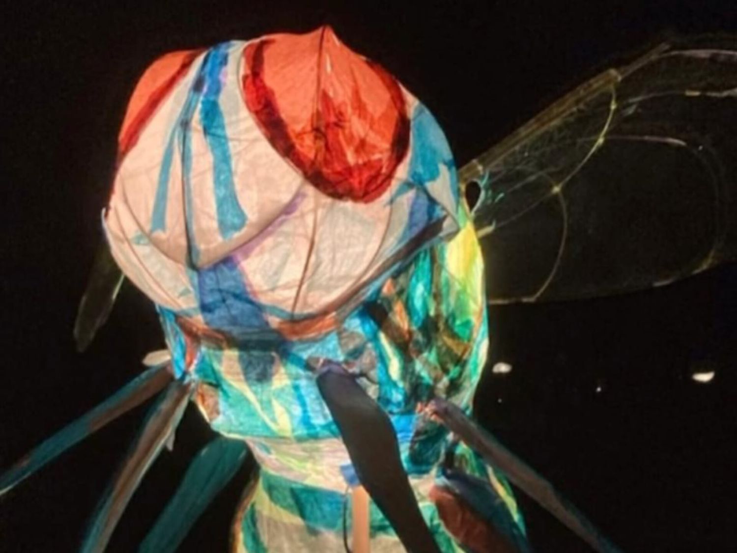 Muestra de Arte Sustentable
