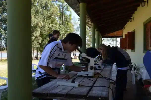 Se duplicó el número de científicos y creció 9 veces la inversión en el área