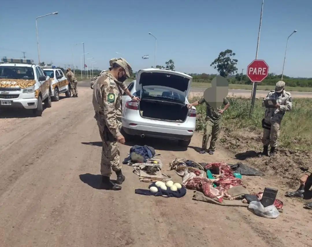 Siete cazadores se entrometieron en un campo sin autorización