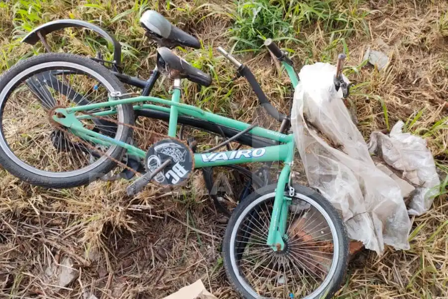 Secuestraron una bicicleta y un cuadro abandonado entre pastizales