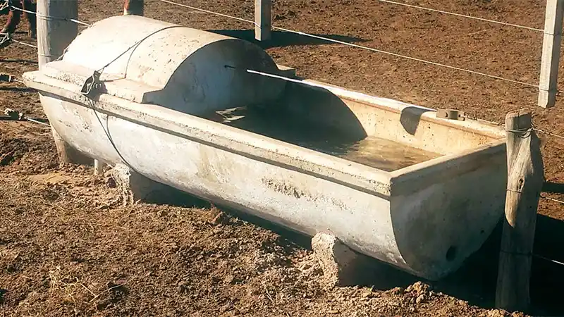 Una bebita murió ahogada tras caer en un bebedero de animales