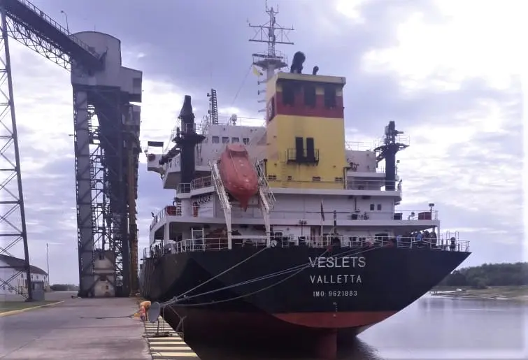 Cargan arvejas con destino a Turquía: es la prueba para la posibilidad de un contrato de exportación para el año que viene