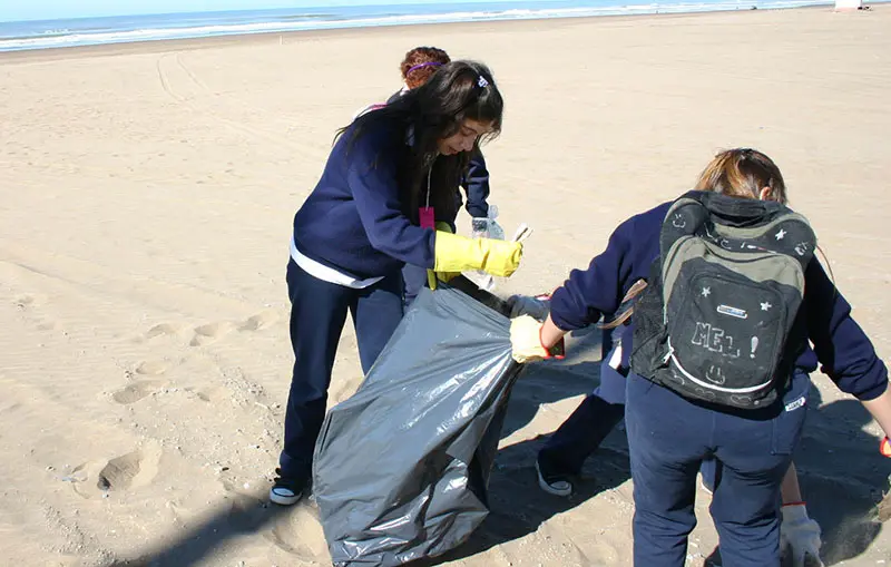 Conciencia ambiental