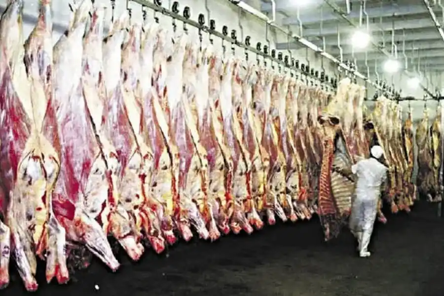 Las exportaciones de carne subieron casi un 10% entre enero y octubre