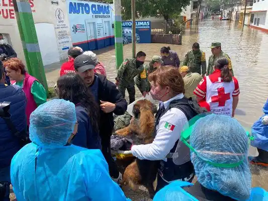 ¡TRAGEDIA EN MÉXICO! Mueren 16 pacientes tras inundación en hospital
