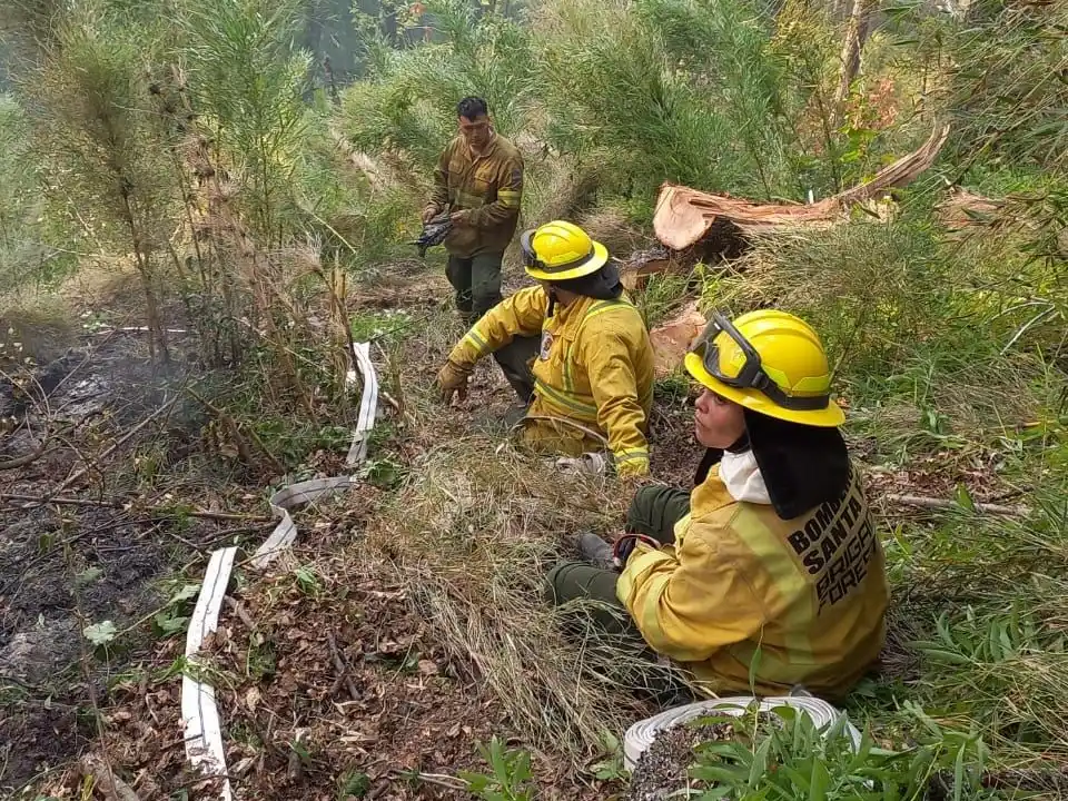 Intenso trabajo de brigadistas santafesinos en el combate de incendios en la Patagonia - 2