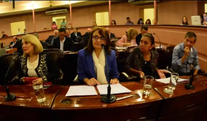 Leticia Angerosa y un grupo del bloque oficialista salieron a respaldar a Cristina