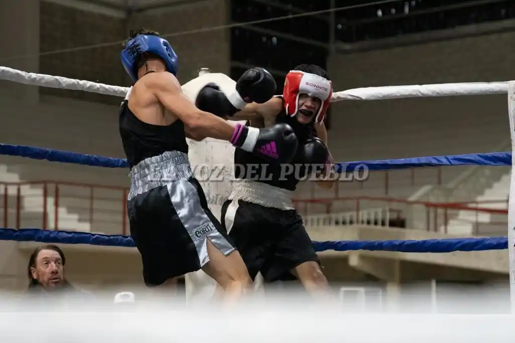 boxeo polideportivo - 2