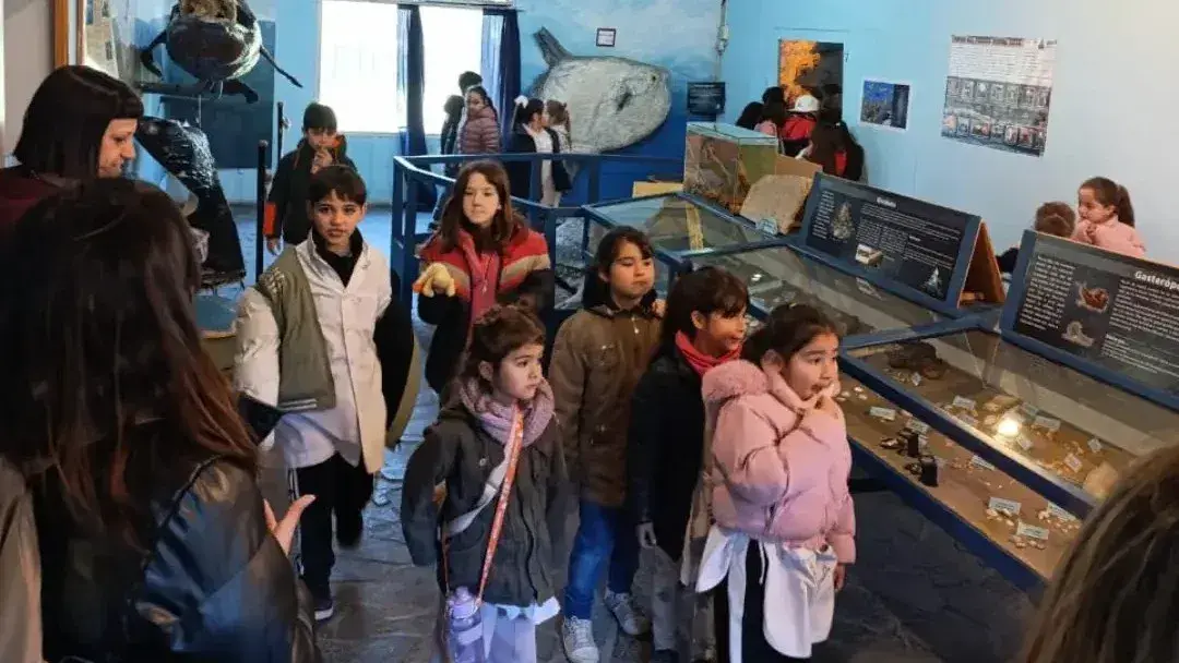 Museo. Las piezas del de Ciencias Naturales llama la atención de los chicos