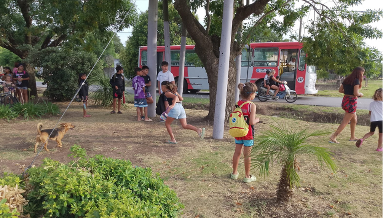 Escuelas Abiertas de Verano, tras el reclamo, dispusieron nuevos colectivos para Gobernador Castro