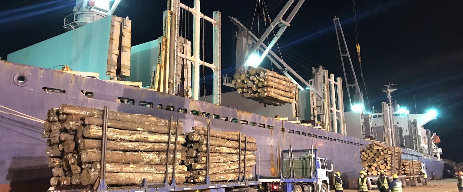 Los puertos entrerrianos completan una nueva exportación de madera