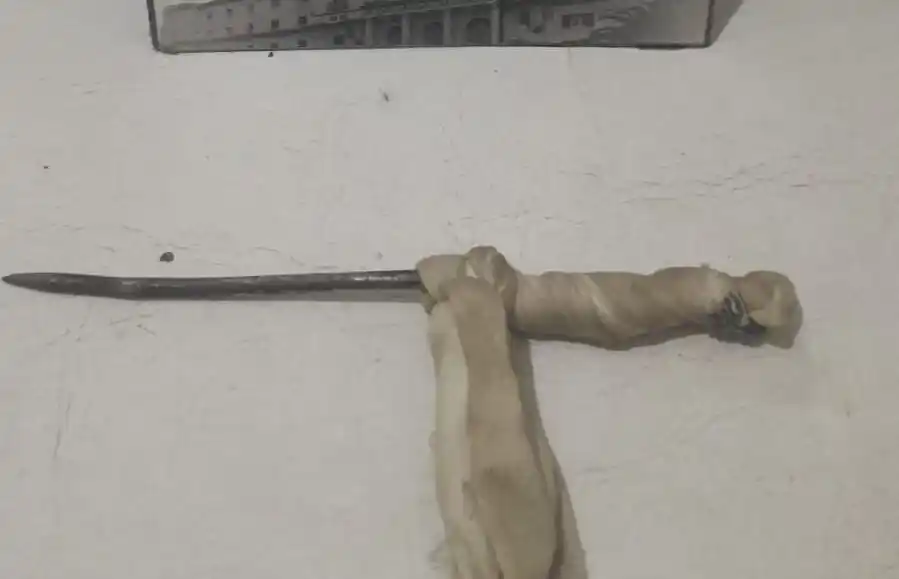 En poder del malviviente se secuestró una faca.