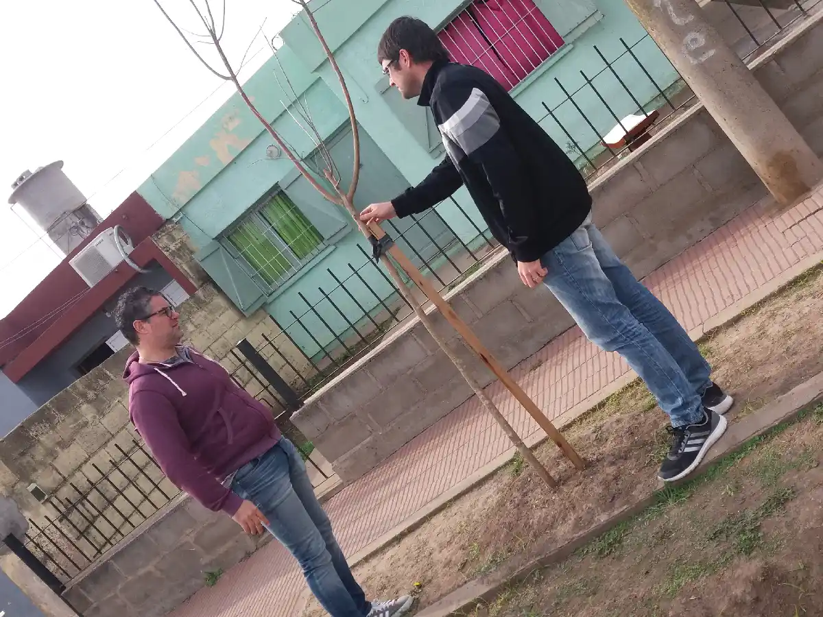 Inició la reforestación urbana en Freyre 
