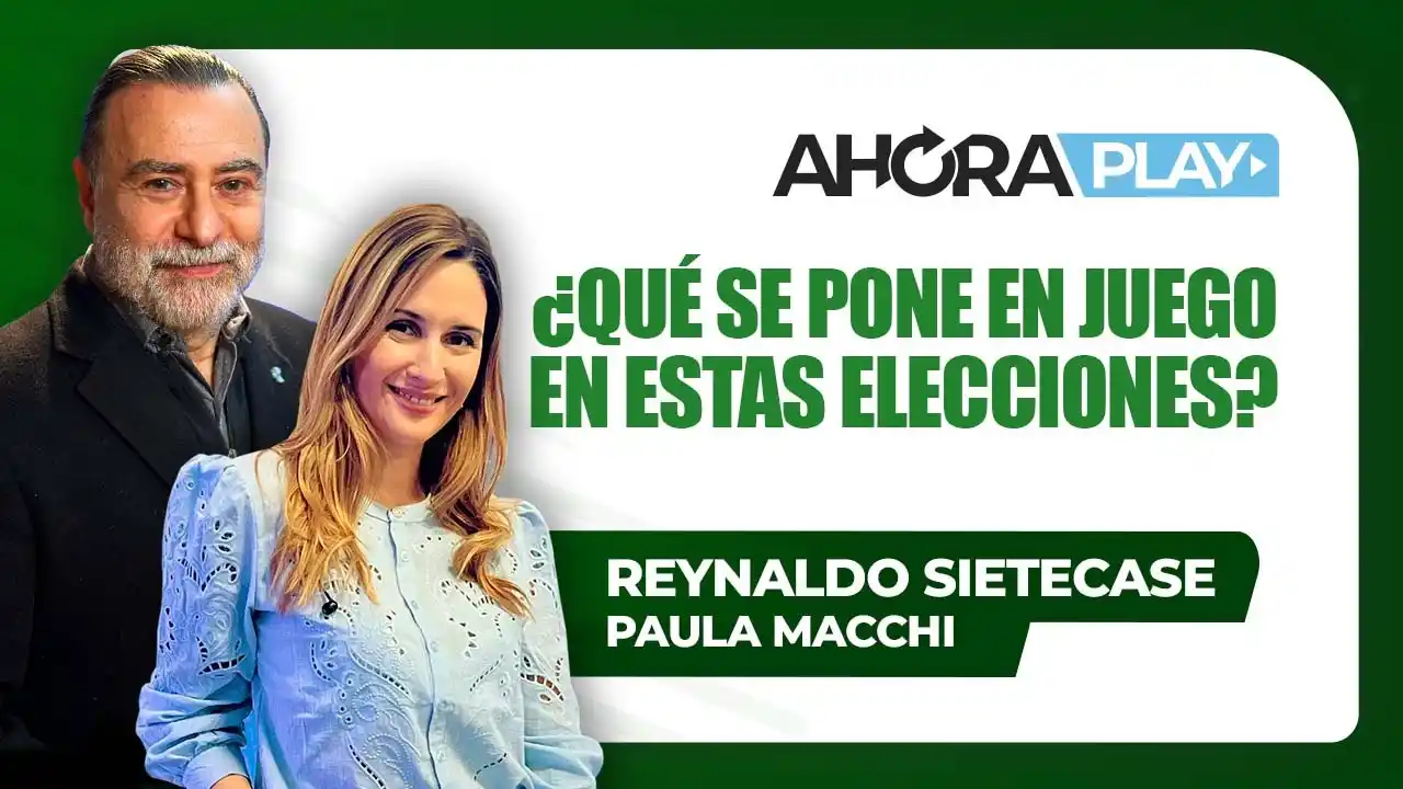 Qué se pone en juego en estas elecciones