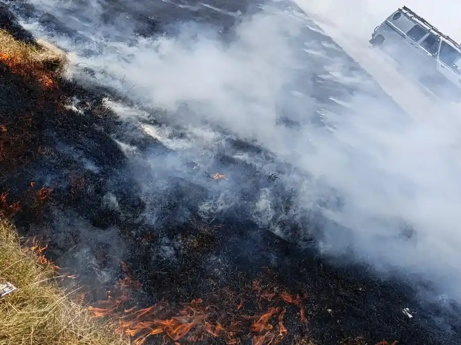 Extinguieron un importante incendio de pastizales en Circunvalación