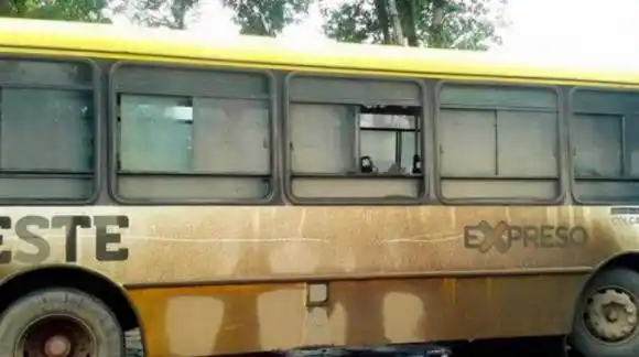 La Plata: Un piedrazo en el colectivo lo dejó con muerte cerebral