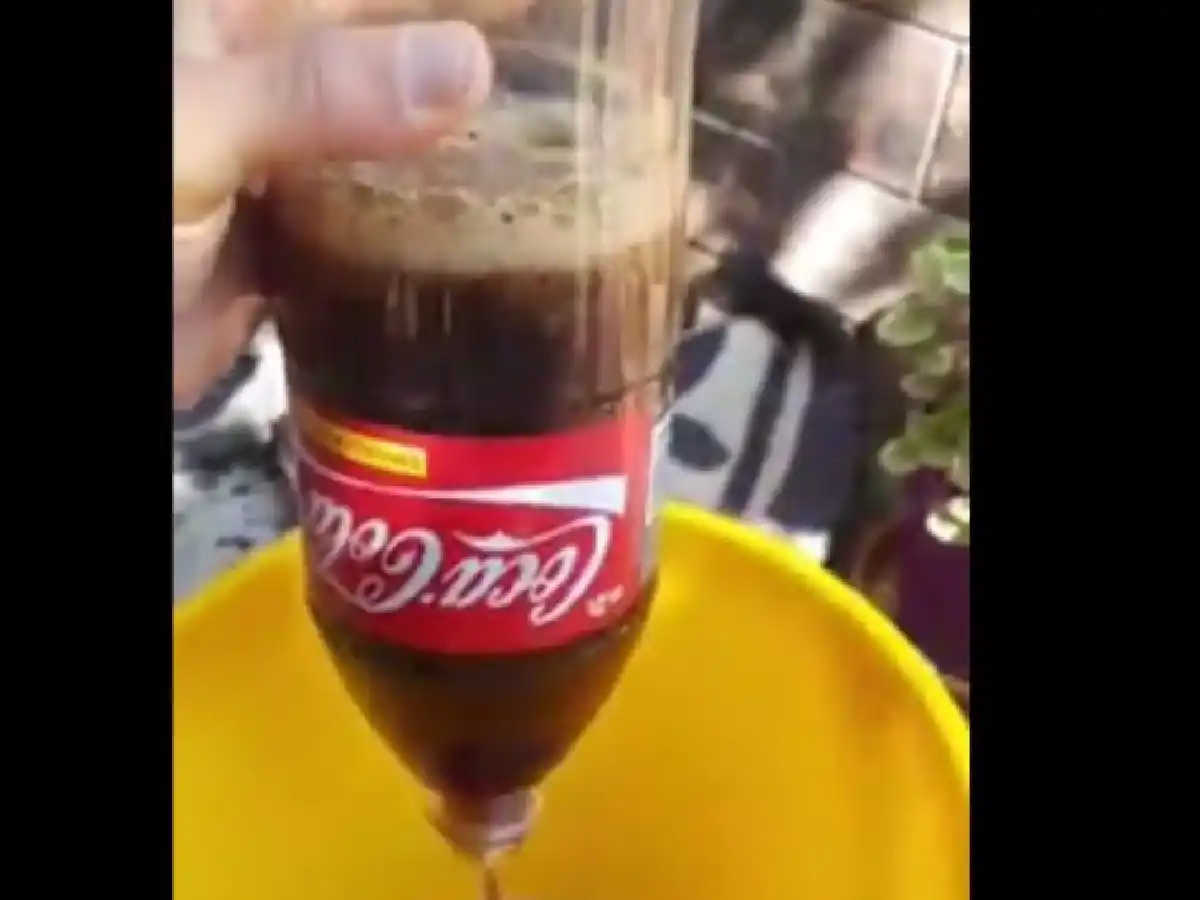 Supuesta rata en una gaseosa: la respuesta de la firma internacional de bebidas