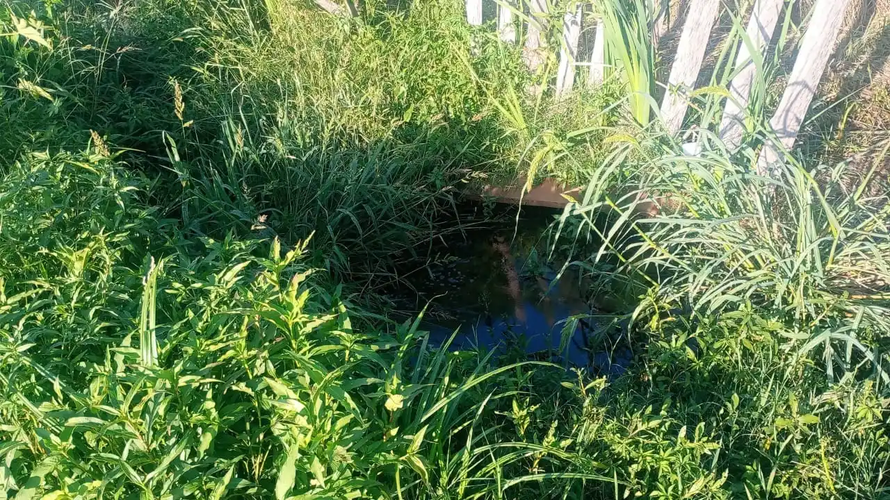 Sin respuestas: hace más de cuatro meses convive con aguas cloacales en su terreno