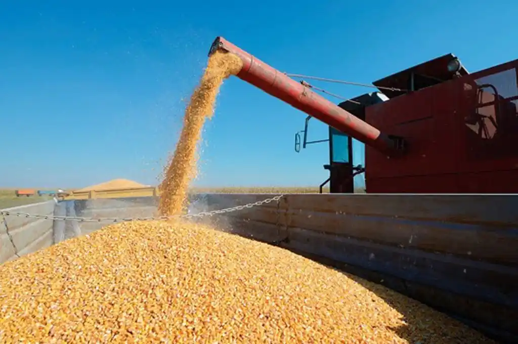 Trágico accidente laboral