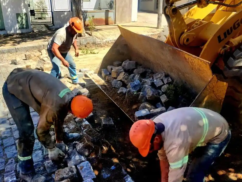 Desde el Ejecutivo local ratificaron que la intervención se realizó “conforme a la normativa vigente".