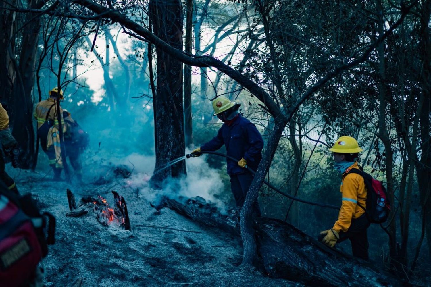 Incendio en 16 hectáreas de la Reserva Forestal Laguna de los Padres de General Pueyrredón