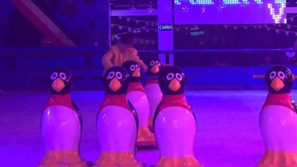 Patinaje sobre hielo a cambio de un alimento no perecedero