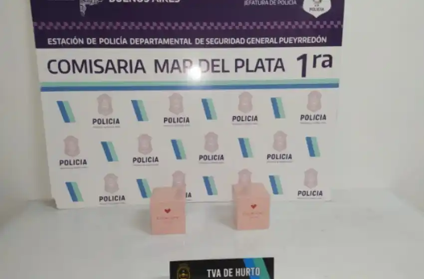 Video: robó en el Shopping Los Gallegos y lo detuvieron