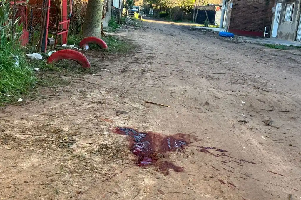 Homicidio en Villa Hipódromo