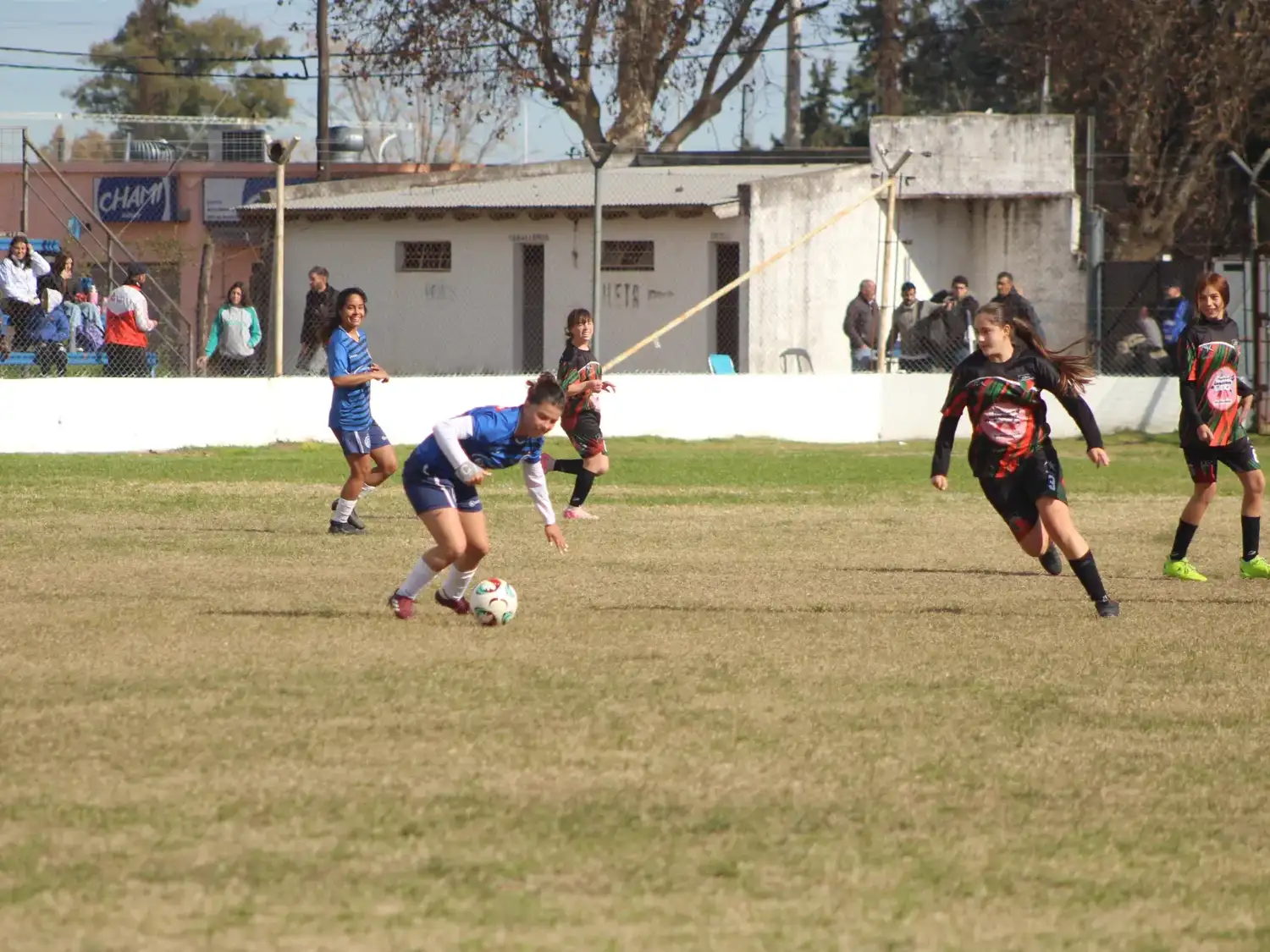 inferiores - 3