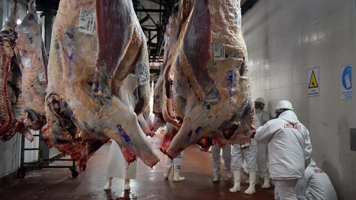 Carne: el cierre de las exportaciones y un análisis de los complejos agroindustriales